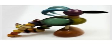 Paon en tagua