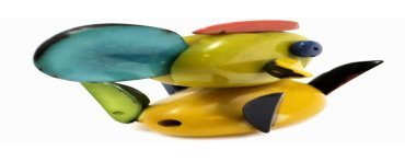 Poisson tagua