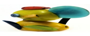 Poisson tagua