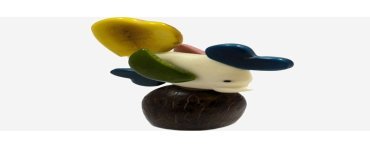 Poisson tagua