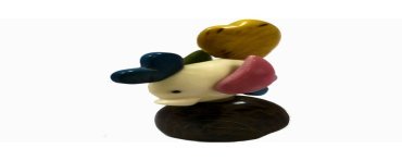 Poisson tagua