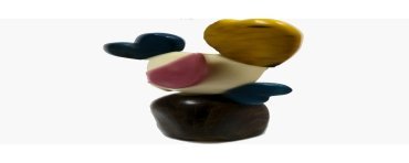 Poisson tagua