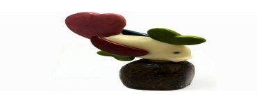 Poisson tagua