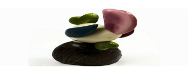 Poisson tagua