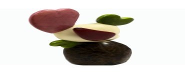 Poisson tagua