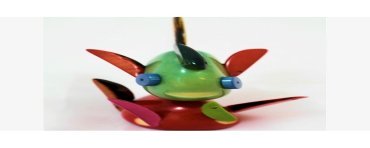 Poisson tagua