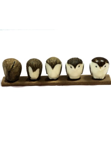 chouette taillée dans la graine de tagua 