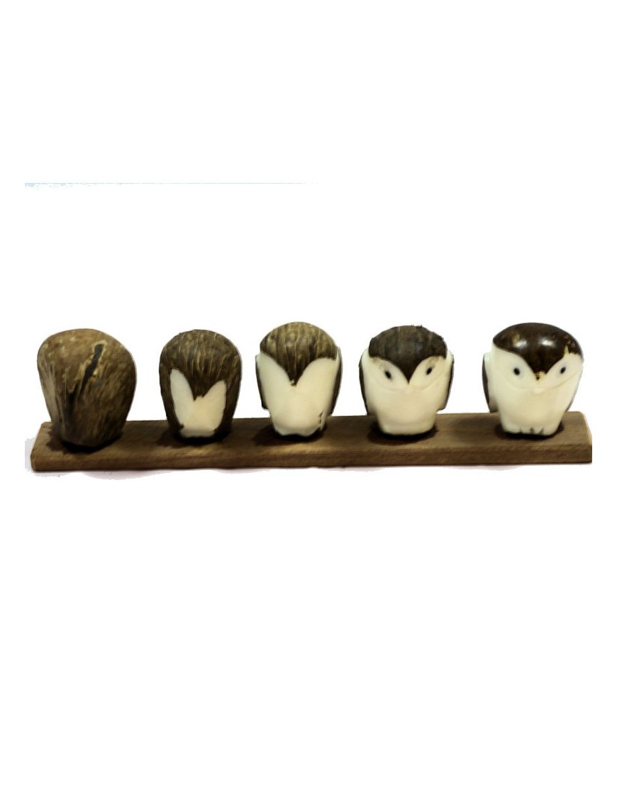 chouette taillée dans la graine de tagua 
