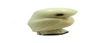 Chouette taillée dans la graine de tagua