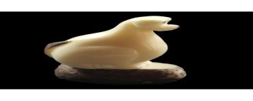 Labrador taillé dans la graine de tagua 