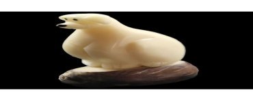 Labrador taillé dans la graine de tagua 