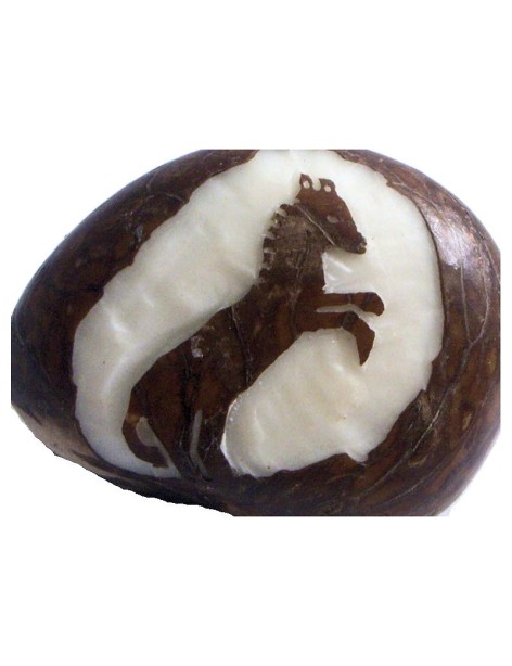 Graine de tagua gravure cheval Graine de tagua gravure cheval
