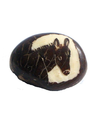 Tête de cheval tagua