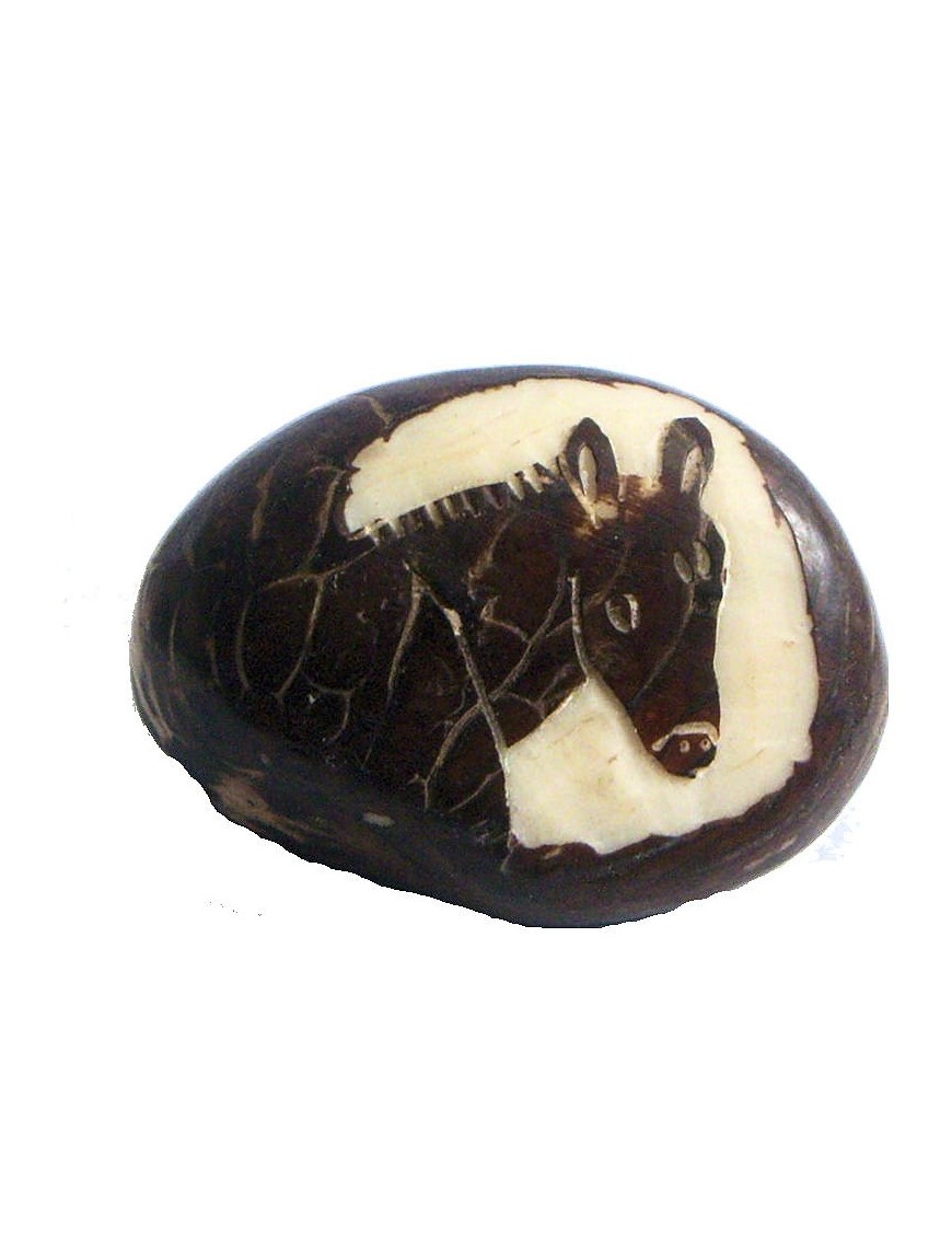 Tête de cheval tagua
