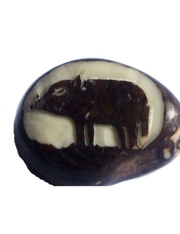 Graine de tagua gravée sanglier