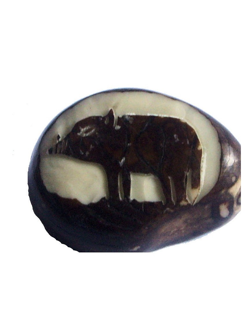 Graine de tagua gravée sanglier