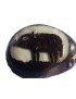 Graine de tagua gravée sanglier