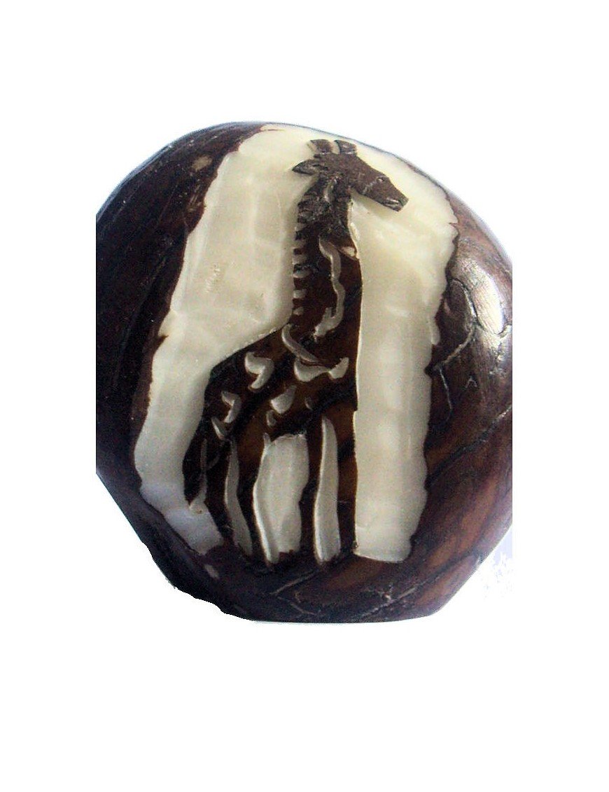 Graine de tagua gravure girafe