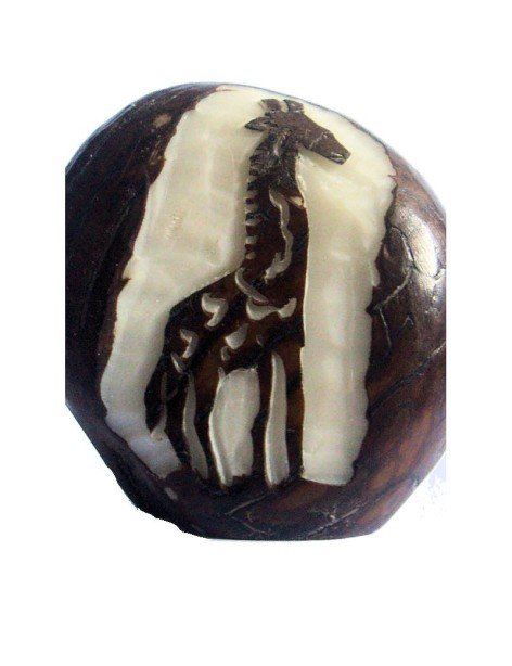 Graine de tagua gravure girafe Graine de tagua gravure girafe