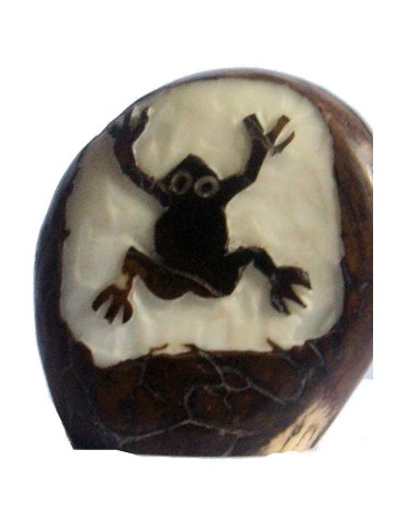  Graine de tagua gravure grenouille
