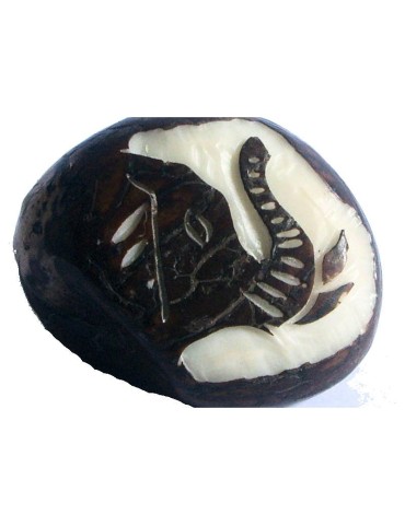 Gravure Tête d'éléphant en tagua