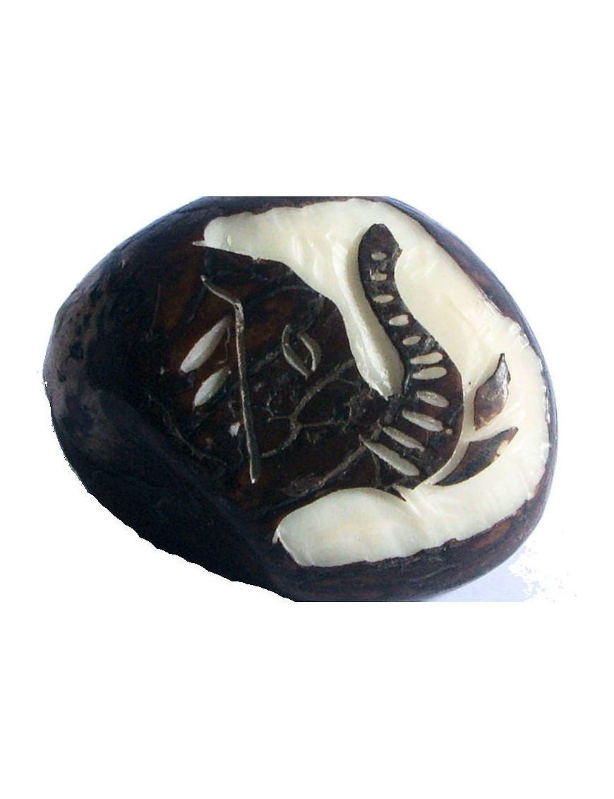 Gravure Tête d'éléphant en tagua