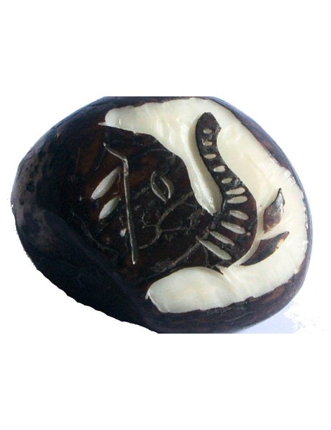 Gravure Tête d'éléphant en tagua Gravure Tête d'éléphant en tagua