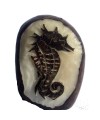 Graine de tagua gravure  hippocampe