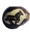 Graine de tagua gravure zèbre