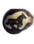 Graine de tagua gravure zèbre