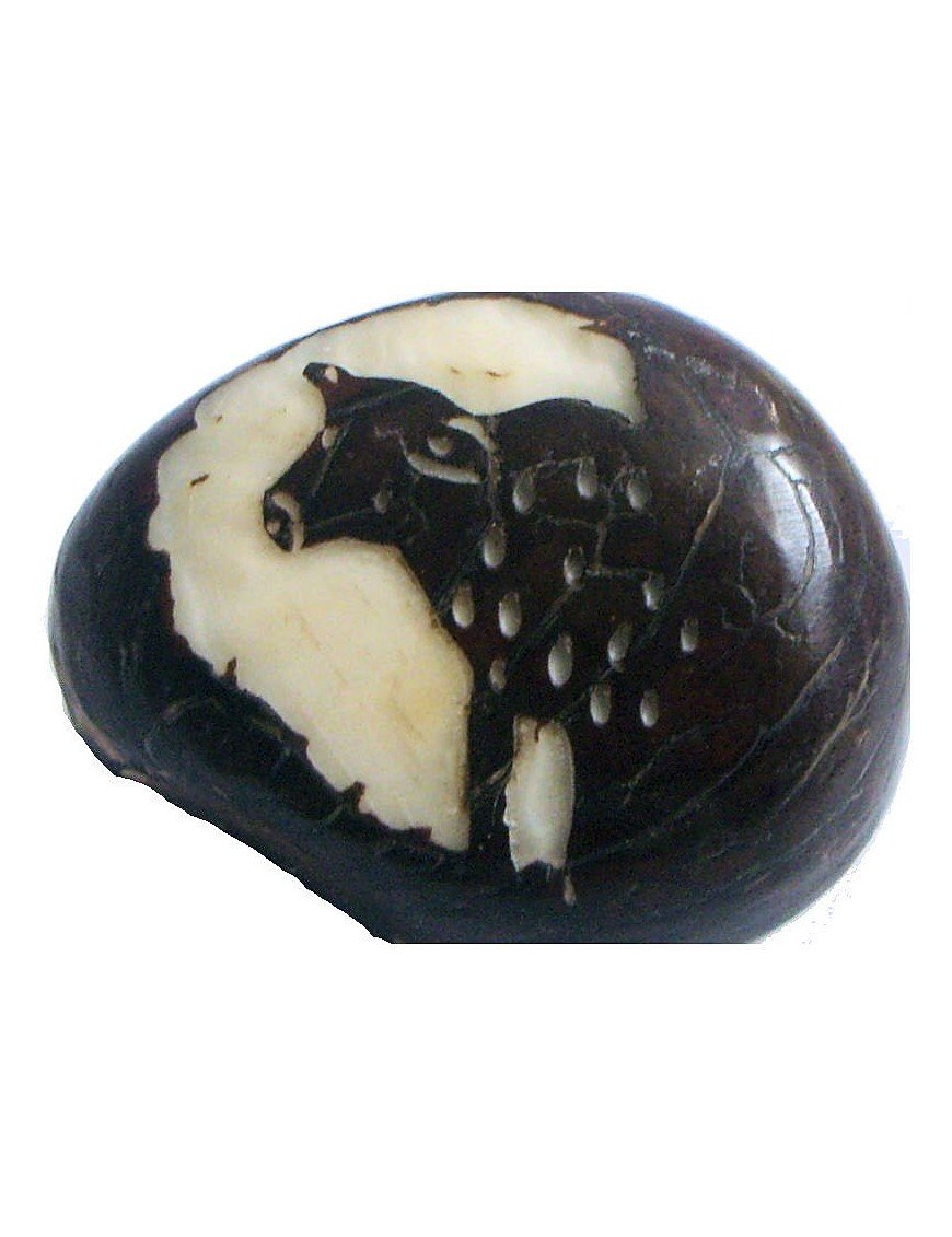 Graine de tagua gravure mouton