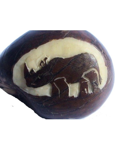 Graine de tagua gravure  rhinocéros 