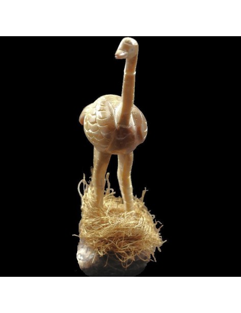 Autruche taillée dans la graine de tagua Autruche taillée dans la graine de tagua