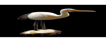 Cigogne taillée dans la graine de tagua 