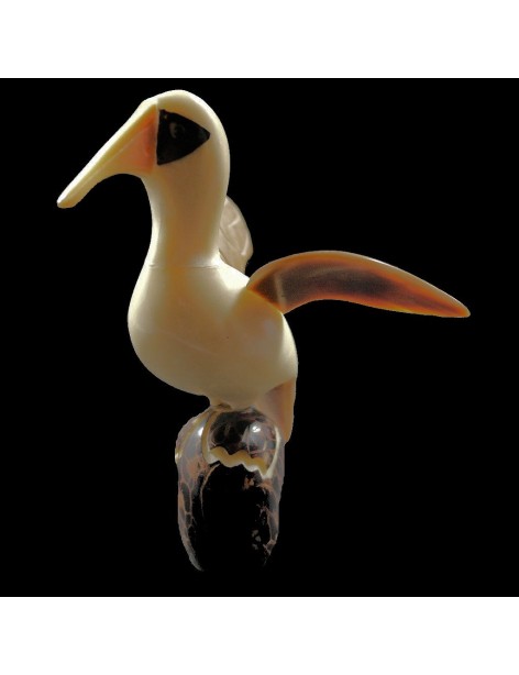 Sterne naine taillée dans la graine de tagua Sterne naine taillée dans la graine de tagua