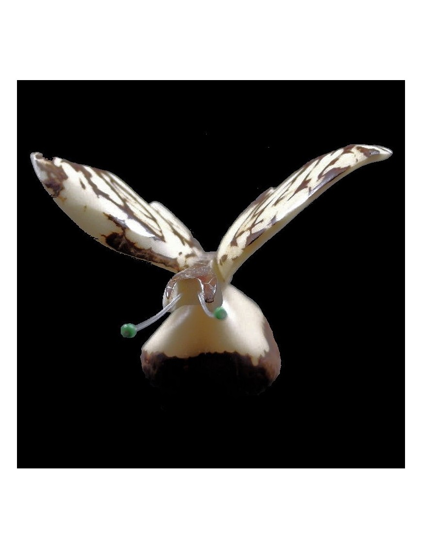 Papillon taillé dans la graine de tagua 