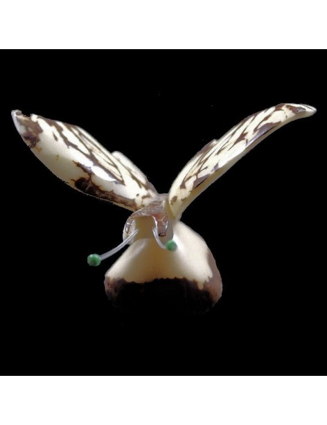 Papillon taillé dans la graine de tagua Papillon taillé dans la graine de tagua