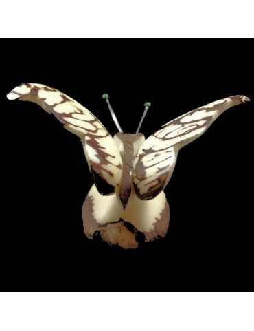 Papillon taillé dans la graine de tagua 