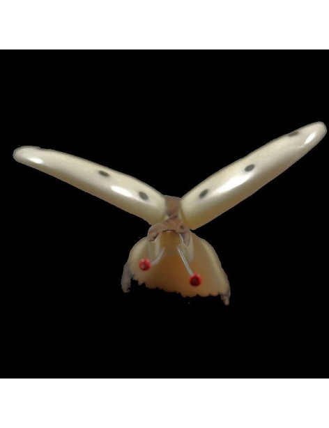 Papillon taillé dans la graine de tagua Papillon taillé dans la graine de tagua