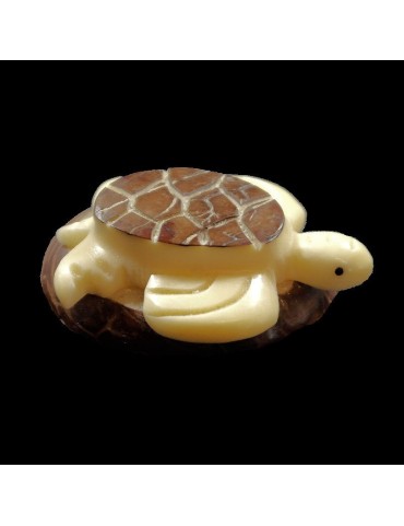 Tortue taillée dans la graine de tagua 