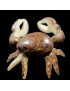 Crabe taillé dans la graine de tagua 
