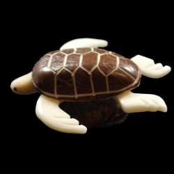 Tortue taillée dans la graine de tagua 