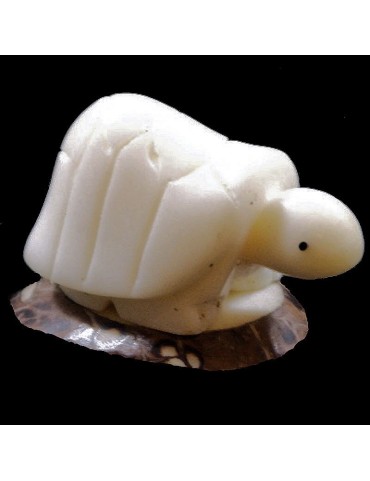 Tortue terrestre taillée dans la graine de tagua 
