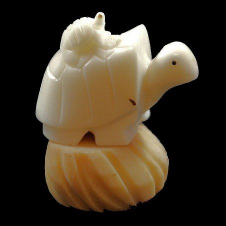 Tortue taillée dans la graine de tagua Tortue taillée dans la graine de tagua
