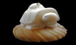 Tortue taillée dans la graine de tagua 