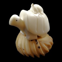 Tortue taillée dans la graine de tagua 