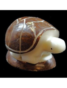 Tortue taillée dans la graine de tagua 