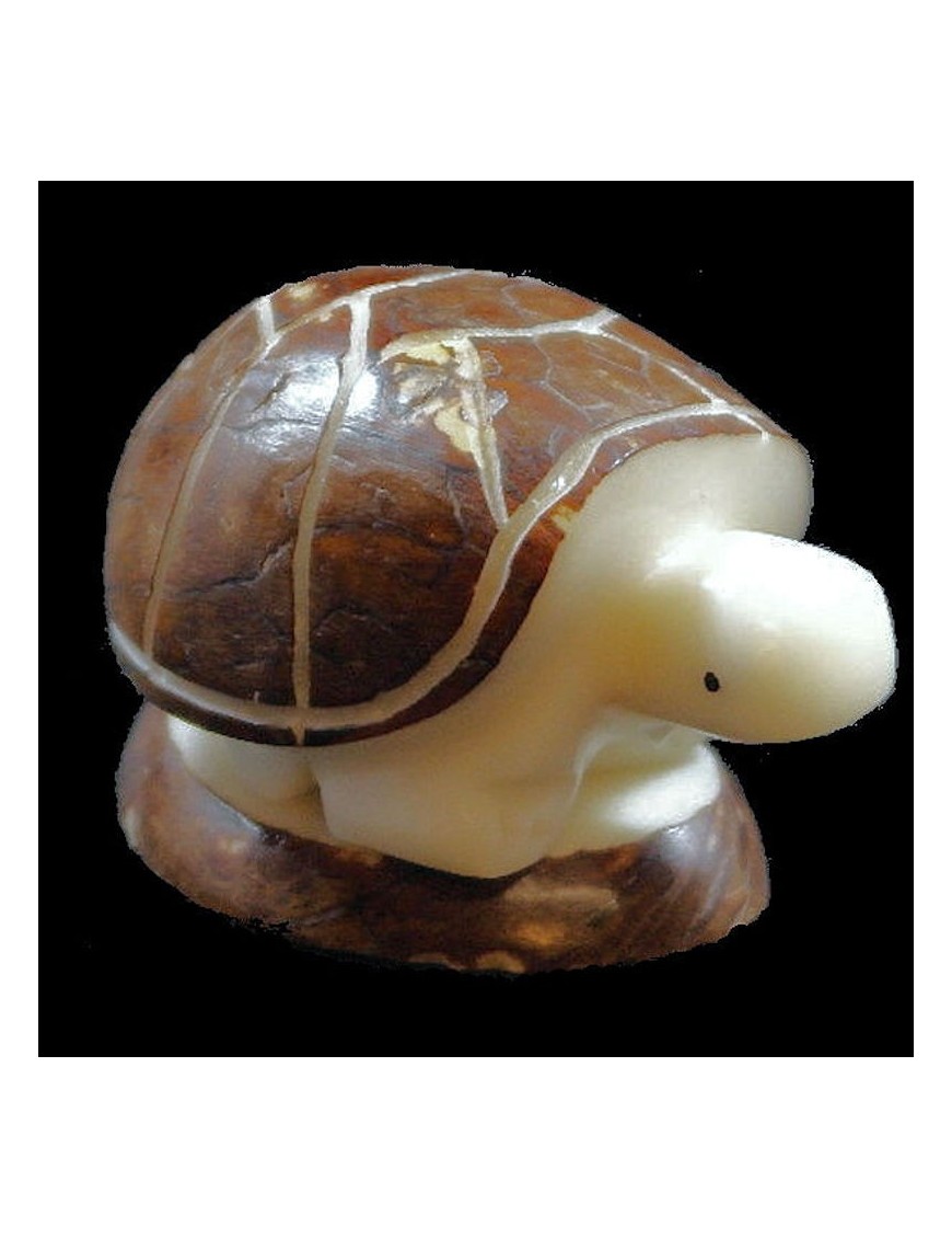 Tortue taillée dans la graine de tagua 