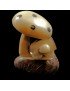 Tortue champignon taillée dans la graine de tagua