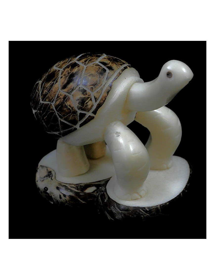 Tortue taillée dans la graine de tagua 